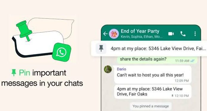 Cara Pin Pesan Di Chat WhatsApp