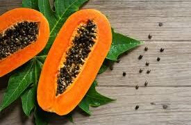 Khasiat Biji Pepaya Kesehatan Tubuh