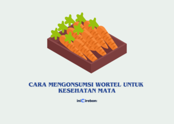 cara mengonsumsi wortel untuk kesehatan mata (Canva)